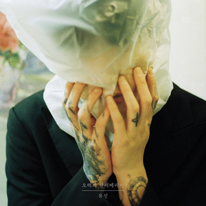 오해의 산세베리아