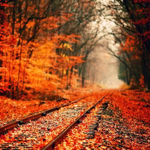 我和我的祖国（钢琴曲）