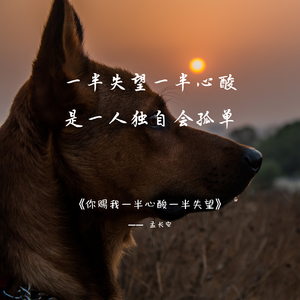 你赐我一半心酸一半失望-孟长安wav(1)