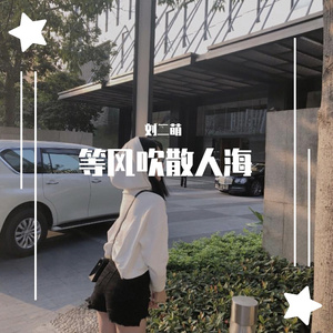 等风吹散人海(抖音正式版)