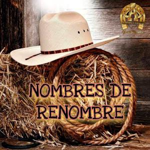 El Güerro Hugo Pedroza