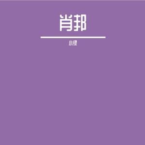 肖邦练习曲（陀螺or蜜蜂）---央音九级钢琴