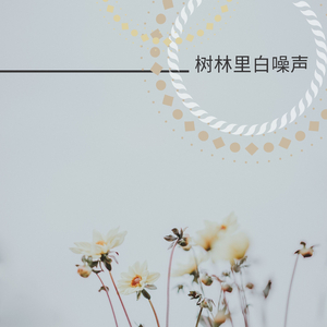 树林里白噪声