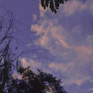 早晚（抖音DJ版）