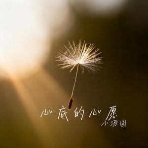 心底的心愿