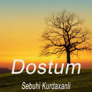 Dostum