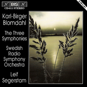 Symphony No. 1:I. Sostenuto et pesante - Allegro