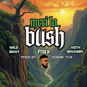 Meri lo bush (feat. Wild-Biggy & Keith Benjamin)