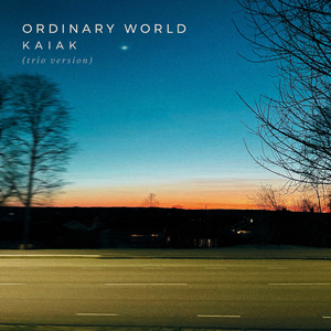 Ordinary World