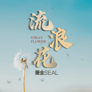 那一朵流浪花 (DJ默涵版)