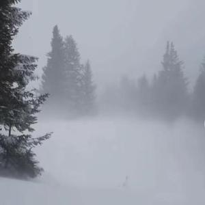 潮湿的心还能再跳动吗（prod by Lyoung）