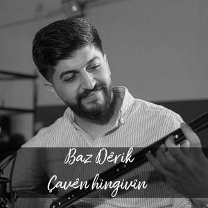 Çavên hingivîn