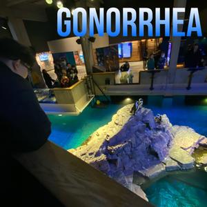 Gonorrhea