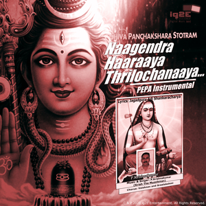 Naagendra Haaraaya Thrilochanaaya (Pepa Instrumental)