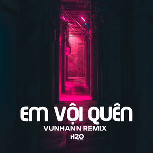 Em Vội Quên (Remix)