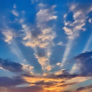 蔡健雅-思念是一种病（霍深布鲁茨大盗贼 remix）