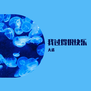 李霄云-我过的很快乐（大弟 remix）