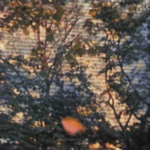 그렇게 바라던 가을