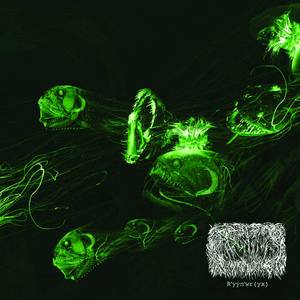 ɖー |《 MR^R:Ò!Q