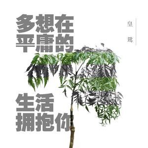 多想在平庸的生活拥抱你01