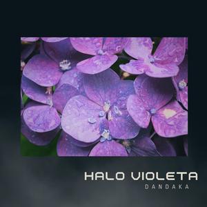 Halo violeta