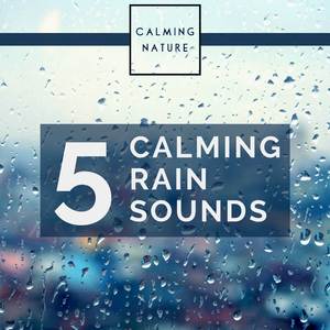 Gentle Rain Sounds