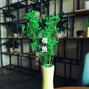 像鱼（吉他男声）