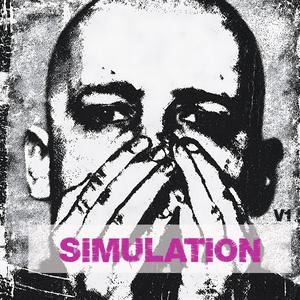 Simulation