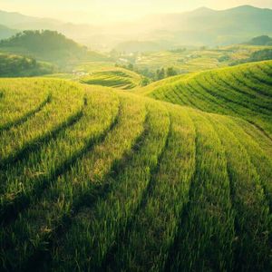 写封信寄往天堂