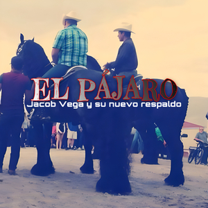 El Pajaro 1