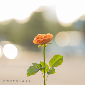 君の花が咲くように