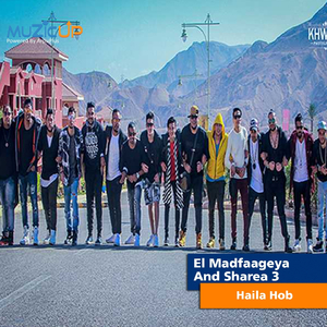Haila Hob