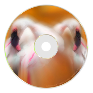 Walking Down (Original mix)