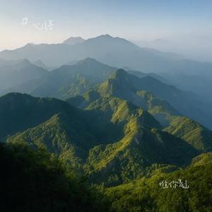 唯你青山