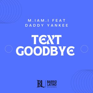 Text Goodbye (No Te Quise Perder) [feat. Daddy Yankee] [Spanish Mix]
