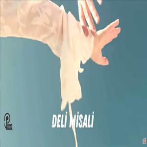 DELİ MİSALİ