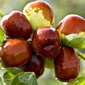 Многие свойства даты