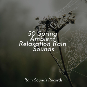 Thundering Ocean Heights