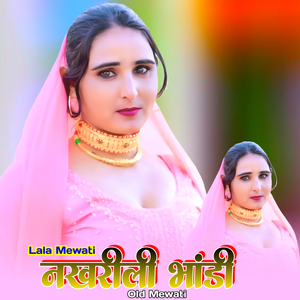 नखरीली भांडी ओल्ड मेवाती