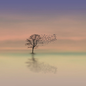 위로 Words of Comfort