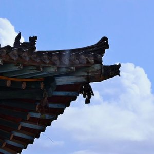 蜂蜜（cover.曾雪雅）