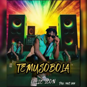 TEMUSOBOLA