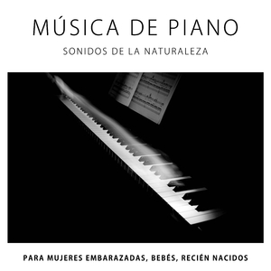Relajación - Música de Fondo para Trabajar