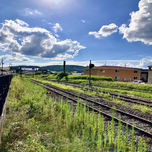 ブルームダンス (feat. 蒼姫ラピス)