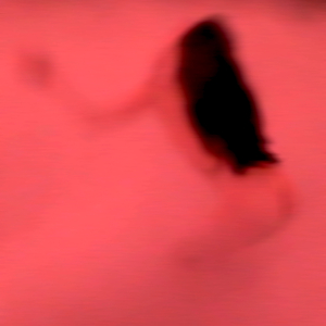 Pulsion