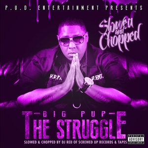 Sometimes (Slowed & Chopped)