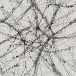 Wired World