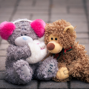 Visi ciema suņI rēja