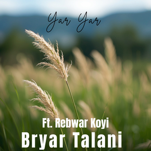 Yar Yar
