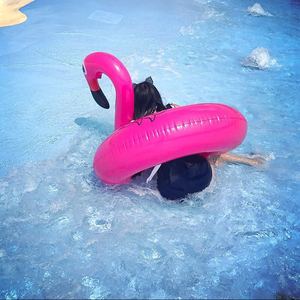 单身狗之歌（Cover 慕寒）